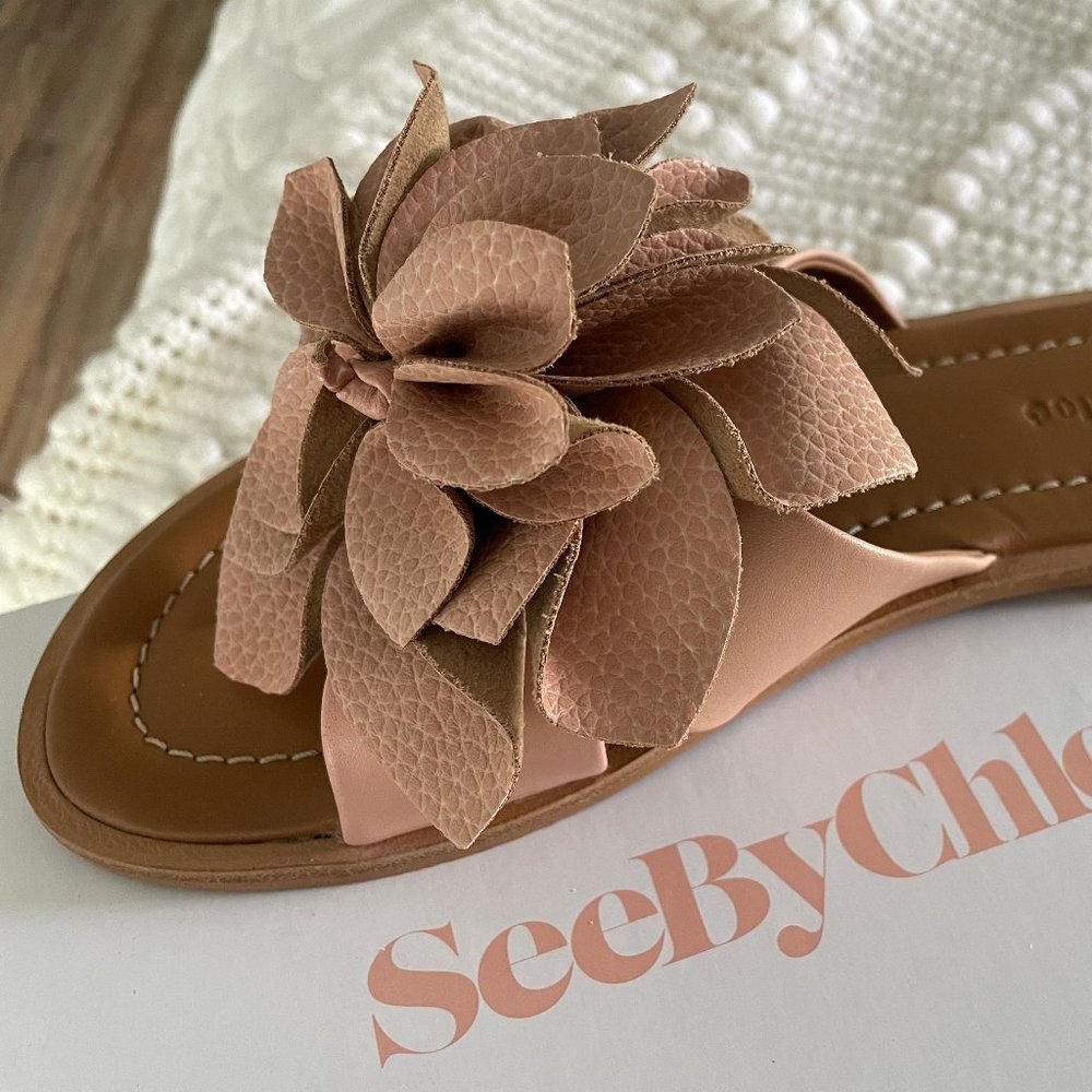 Pink Slides